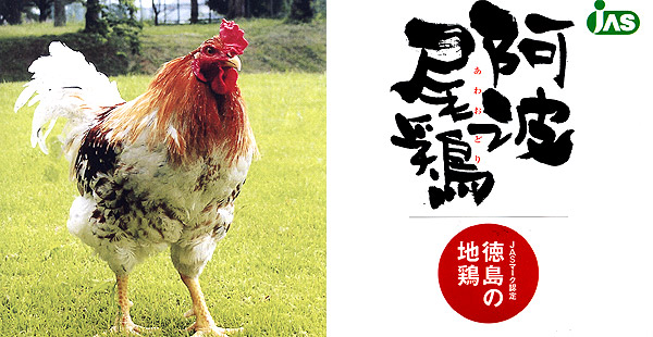 阿波尾鶏　生産地：徳島県