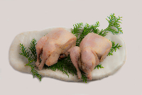 冷凍鳥肉・特殊鶏